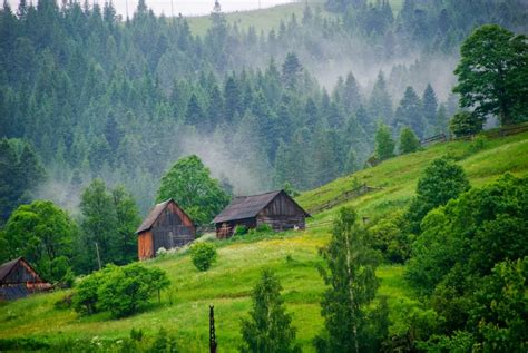 Лучшие кемпинги в регионе Карпаты